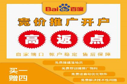 某企业通过SEO和SEM双管齐下实现业绩飞跃的案例