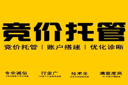 信息流优化师实战：助力品牌快速崛起